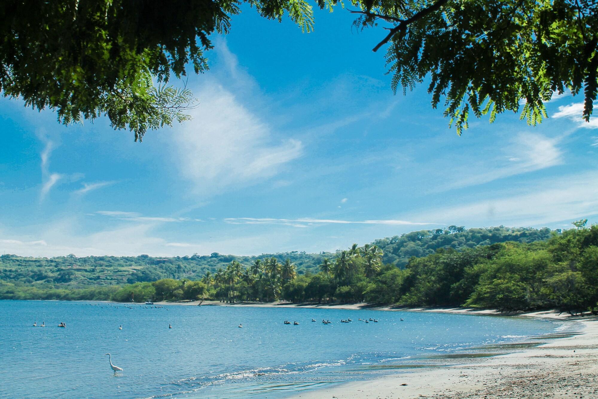 Papagayo Golden Palms Beachfront Hotel Panama Ngoại thất bức ảnh